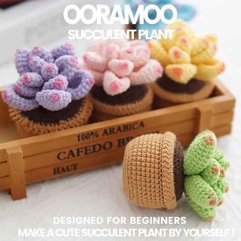 Crochet Kit for Beginners - 4Pcs Succulents for Adults, Crocheting Knitting Kit with Step-by-Step Video Tutorials in Saudi Arabia
