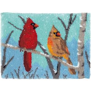 ZFFLYH Latch Hook Kits, Latch Hook Rug Kit for Adults Beginner Halloween Hat Latch Hook Kits with Printed Canvas 52X38cm/20.5 Inch X15 Inch in Saudi Arabia