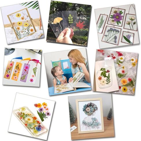 مجموعة ضغط زهور خشبية كبيرة من ريكوكا، 10 طبقات 8.3 × 11.8 انش، مجموعة ضغط النباتات من الخشب الصلب الطبيعي للبالغين بتصميم نمط فريد (اسود) in Kuwait