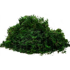 بيهير 92926 طحالب الغابة المحفوظة، أخضر طازج (16 أونصة) in Kuwait
