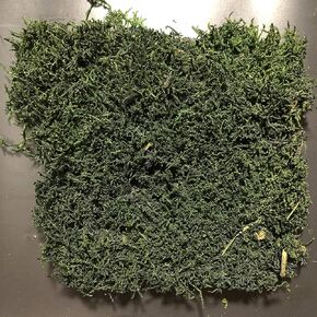 Preserved Sheet Moss Natural Green Decorative Real Natural Green DIY Kit Gardenning Art Wall Decor Florist Decor Easter Table Decor Wedding(4 sq.ft.) (Green-A,Green-B,Green-C)