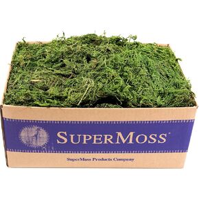SuperMoss (25320) Forest Moss Preserved, Fresh Green, 2oz in Saudi Arabia