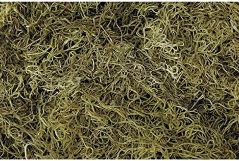 1 lb Preserved & Dyed Chartreuse Bag Faux Spanish Moss in Kuwait