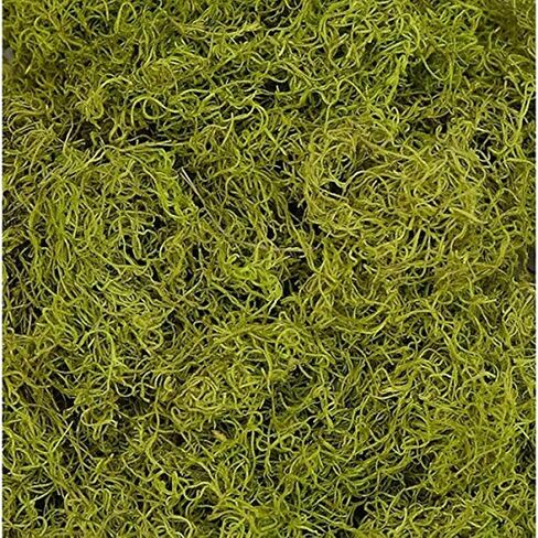 1 lb Preserved & Dyed Chartreuse Bag Faux Spanish Moss in Kuwait