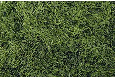 1 lb Preserved & Dyed Chartreuse Bag Faux Spanish Moss in Kuwait