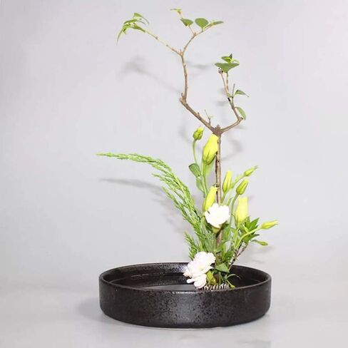 Flower Frog Stainless Steel Pin Frog Flower Arrangement Holder (2.4 Inch (60mm)) in Kuwait