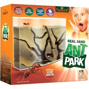 Tigerific Ant Farm for Live Ants – Ant Colony for Kids. Great Science Kit for Children. - Ant Habitat Set with - Real Sand Included - Watch Ants, Dig Tunnels, Carry Sand, Hide and Drag Their Food. in Saudi Arabia