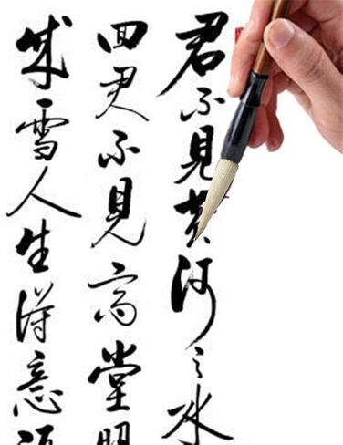 Chinese Calligraphy Brush, Writing Drawing Watercolor Ink Brushes Hubi Painting Kanji Sumi Wolf Bamboo Brushes Set for Professional Beginner (Green) in Kuwait