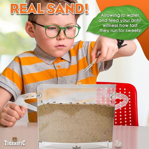 Tigerific Ant Farm for Live Ants – Ant Colony for Kids. Great Science Kit for Children. - Ant Habitat Set with - Real Sand Included - Watch Ants, Dig Tunnels, Carry Sand, Hide and Drag Their Food. in Saudi Arabia