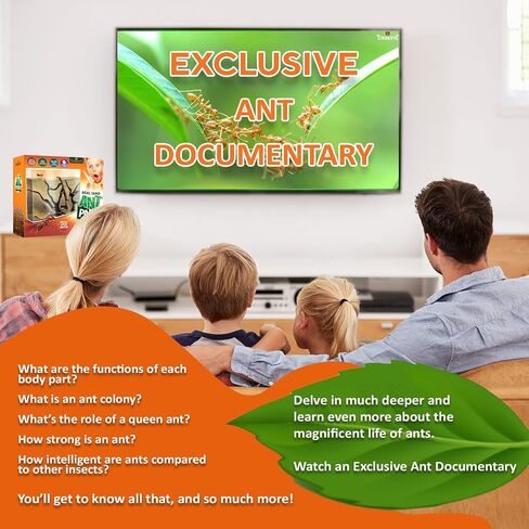 Tigerific Ant Farm for Live Ants – Ant Colony for Kids. Great Science Kit for Children. - Ant Habitat Set with - Real Sand Included - Watch Ants, Dig Tunnels, Carry Sand, Hide and Drag Their Food. in Saudi Arabia