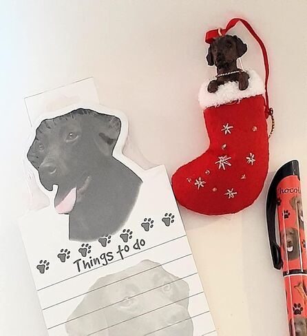 Blue Skies Plus Chocolate Labrador Lab Dog Gift Set with Matching Ornament, Magnetic Notepad & Pen in Saudi Arabia