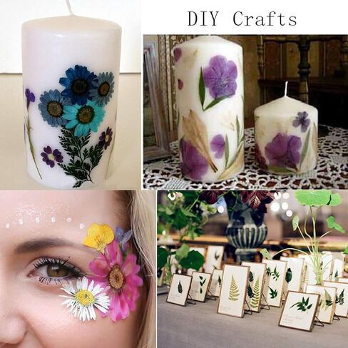 106 Pieces Assorted Real Dried Pressed Flowers Combination Real Dried Pressed Leaves Natural Dry Flowers Leaves for Resin Mold, Pressed Leaf Art, Embellishment Decorations(Pink,Purple,Yellow,Green) in Saudi Arabia