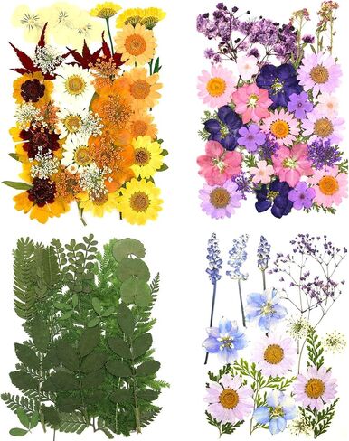 106 Pieces Assorted Real Dried Pressed Flowers Combination Real Dried Pressed Leaves Natural Dry Flowers Leaves for Resin Mold, Pressed Leaf Art, Embellishment Decorations(Pink,Purple,Yellow,Green) in Saudi Arabia
