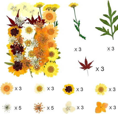 106 Pieces Assorted Real Dried Pressed Flowers Combination Real Dried Pressed Leaves Natural Dry Flowers Leaves for Resin Mold, Pressed Leaf Art, Embellishment Decorations(Pink,Purple,Yellow,Green) in Saudi Arabia