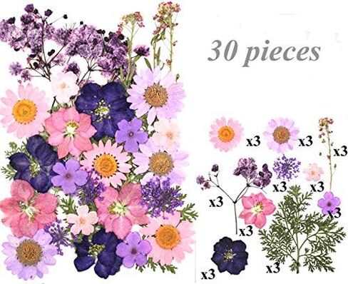106 Pieces Assorted Real Dried Pressed Flowers Combination Real Dried Pressed Leaves Natural Dry Flowers Leaves for Resin Mold, Pressed Leaf Art, Embellishment Decorations(Pink,Purple,Yellow,Green) in Saudi Arabia