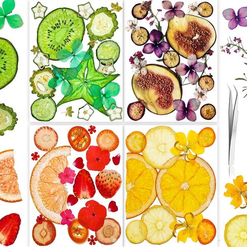 96PCS Vintage White Dried Pressed Flowers for Resin Craft - YouthBro Real Nature Flowers Set with 50 PCS Butterfly Stickers for DIY Scrapbook Art Floral Decors in Saudi Arabia
