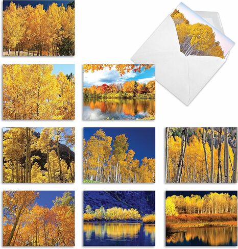 The Best Card Company - 10 بطاقات ملاحظات جميلة فارغة (4 × 5.12 بوصة) - موسم الخريف والخريف، تشكيلة بطاقات الملاحظات المعبأة - فوق الجزء العلوي M2006 in Kuwait