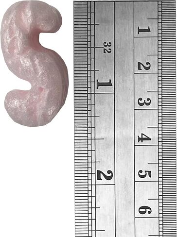 بطانة UOFFICE للتعبئة بالفول السوداني (عبوة واحدة، Bio Renature) in Kuwait