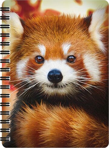 3D LiveLife Jotter - Baby Red Panda from Deluxebase. Lenticular 3D Red Panda 6x4 Spiral Notebook with plain recycled paper pages. Artwork licensed from renowned artist David Penfound in Saudi Arabia