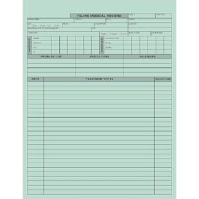 Tabbies Veterinary Medication Instruction Label, Medication Added to I.V. TIME_…, 2-1/2"W x 2-1/2"H, Fluorescent Red, 390 Labels Per Roll in Saudi Arabia