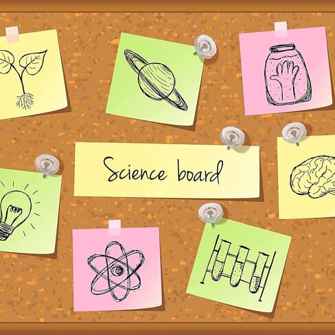 iJiGui 150 قطعة من مسامير الإبهام الشفافة، نقطة من الفولاذ المقاوم للصدأ، دبابيس للسبورة البيضاء، دبابيس دفع مزخرفة، دبابيس دفع للوحة الفلين in Kuwait