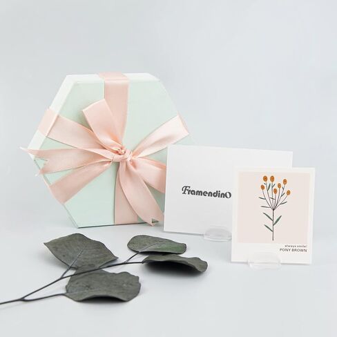 Framendino, 50 Pack Card Stands Paper Miniature Bases Paper Board Card Stands Business Card Holder Plastic Clip for Business Cards Price Tags Labels in Saudi Arabia