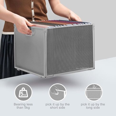 Oterri Hanging File Organizer, Metal File Organizer, Portable Desktop File Organizer for Letter Size Folder, Mesh Hanging File Crate for Office,Folders Not Included(Cool Black-Large,1 Pack) in Saudi Arabia