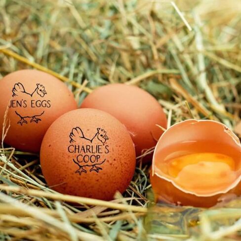 Personalized Egg Stamp, Custom Rubber Chicken Egg Label Stamp Mini Farm Fresh Eggs Stamp in Saudi Arabia