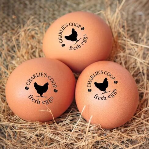 Personalized Egg Stamp, Custom Rubber Chicken Egg Label Stamp Mini Farm Fresh Eggs Stamp in Saudi Arabia