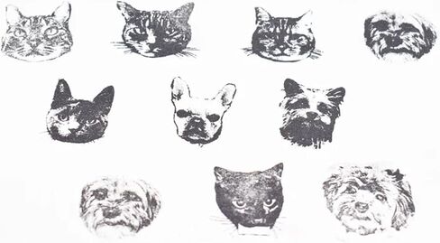 ختم صورة مخصص للحيوانات الأليفة، مخصص للقطط والكلاب والببغاء وما إلى ذلك. ختم حيواني شخصي، صورة مخصصة للحيوانات الأليفة، ختم وجه مخصص للحيوانات الأليفة، ختم حبر للحيوانات الأليفة، فكرة هدية (B01-أحمر، 3 × 3 سم) in Kuwait