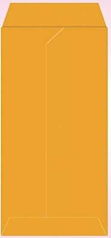 500 Cashier Depot #3 Coin Envelopes, 2 1/2" X 4 1/4", Premium 24lb Paper, 500/Box (Kraft) in Saudi Arabia
