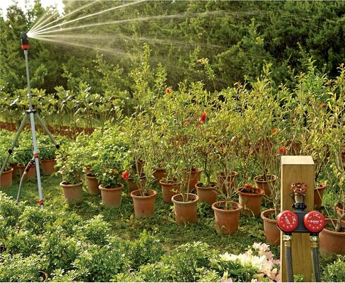 Eden 25118 1-Zone Mechanical Watering Timer, Red, Grey in Kuwait