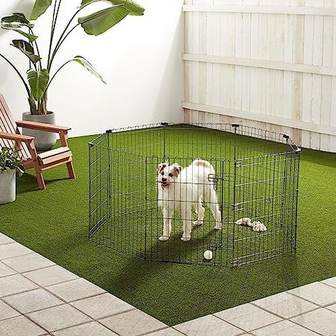 Amazon Basics Foldable Octagonal Metal Exercise Pet Playpen for Dogs, Portable Fence Pen, Single Door, 60 x 60 x 36 Inches, Medium - 36"H, Metal, Black in Saudi Arabia