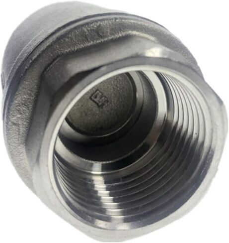 Stainless Steel (304) Vertical Lift in Line Spring Check Valve for New Cars (Specification : DN40) in Saudi Arabia