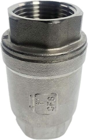 Stainless Steel (304) Vertical Lift in Line Spring Check Valve for New Cars (Specification : DN40) in Saudi Arabia
