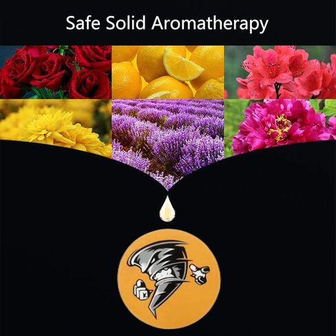 LSJUENGAL 2 قطعة عطر سيارة سجل معطر هواء للسيارة، مشغل تسجيلات عطر السيارة، مشابك مشغل تسجيلات القرص الدوار، معطر هواء للسيارة in Kuwait