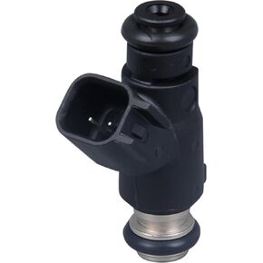 AdvanEX Fuel Injector 2 Holes Compatible with Hisun EFI 500 & 550 UTV'S and ATV's Massimo Bennche Coleman Cub Cadet Tractor Supply UTVs (and many more) Replaces OE 28160355 16400-004C-0000 in Saudi Arabia