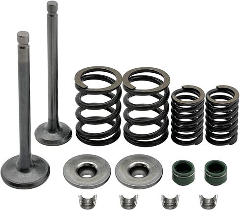 Intake Exhaust Valves with Seals Spring & Valve Guide Kit Compatible for Honda XR100R XR80R CRF100F CRF80F NSF100 XL100S 1979-2013 in Kuwait