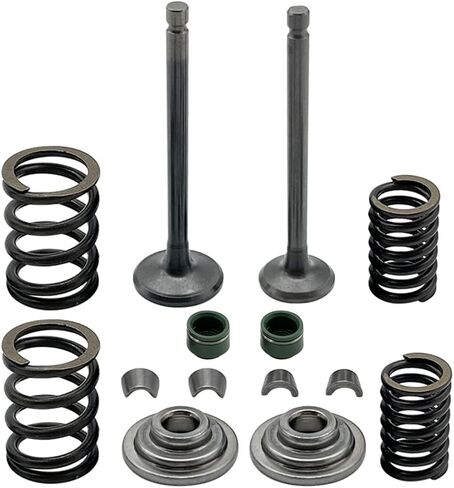 Intake Exhaust Valves with Seals Spring & Valve Guide Kit Compatible for Honda XR100R XR80R CRF100F CRF80F NSF100 XL100S 1979-2013 in Kuwait