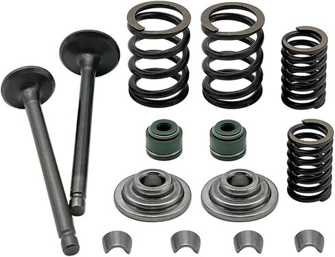 Intake Exhaust Valves with Seals Spring & Valve Guide Kit Compatible for Honda XR100R XR80R CRF100F CRF80F NSF100 XL100S 1979-2013 in Kuwait