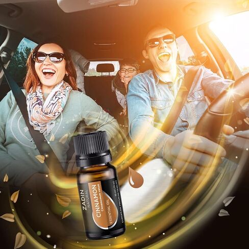 20 وسادة لإعادة تعبئة معطر هواء السيارة - .33 أونصة/10 مل من زيت الأوكالبتوس الأساسي النقي - وسادات بديلة لفتحة تهوية السيارة، أقراص إعادة تعبئة معطر الهواء مع الزيوت العطرية، رائحة الأوكالبتوس القوية in Kuwait