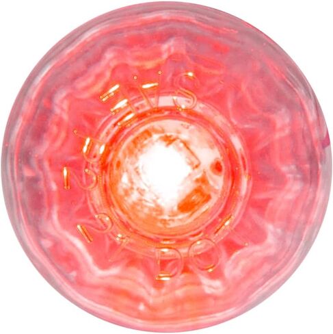 GG Grand General 75430 1 inch Mini Push/Screw Watermelon Amber/Amber Dual Function LED Light with Nut in Saudi Arabia