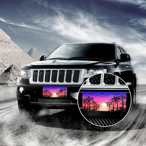 Bear License Plate Cover Bear Animal License Plate Mountain Forest Funny Car Decoration Vanity Tag Stainless Steel License Plate Frame Fits Any Standard Us License Plate Holder 6.2x12.2 for Women Men in Kuwait