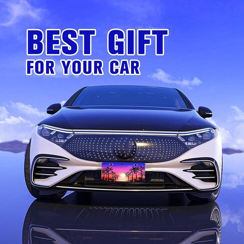 Bear License Plate Cover Bear Animal License Plate Mountain Forest Funny Car Decoration Vanity Tag Stainless Steel License Plate Frame Fits Any Standard Us License Plate Holder 6.2x12.2 for Women Men in Kuwait