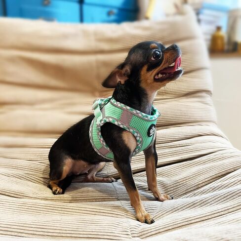 Frienperro Breathable Dog Harness with Leash Set for Small Dog, Dog Harness for Medium Dogs No Pull, Adjustable Reflective Dog Harness, Summer Dog Harnesses for Puppy Small Dogs, Cat Harness Set in Kuwait