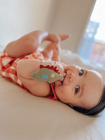 Itzy Ritzy - Itzy Bitzy Rattle, Wearable Wrist Rattle for Babies 0 Months and Up - Baby Rattle Toy with Textured Ribbon, Made with Natural Cotton (Dinosaur) in Kuwait