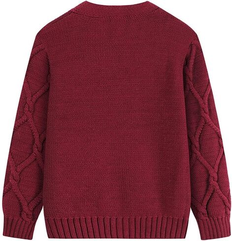 Baby Toddler Boys Cardigan Sweater Cable Knit Button Closure V Neck Jacket Kids Long Sleeve Classic Spring Winter Outwear in Kuwait