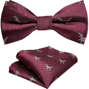YOHOWA Boys Child Kids Bow ties Paisley Floral Handkerchief Set - Adjustable Pre-Tied Elegant Wedding Party Bowties