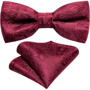 YOHOWA Boys Child Kids Bow ties Paisley Floral Handkerchief Set - Adjustable Pre-Tied Elegant Wedding Party Bowties