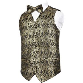 Alizeal Boys Classic Paisley Bow Tie and Suit Vest Set